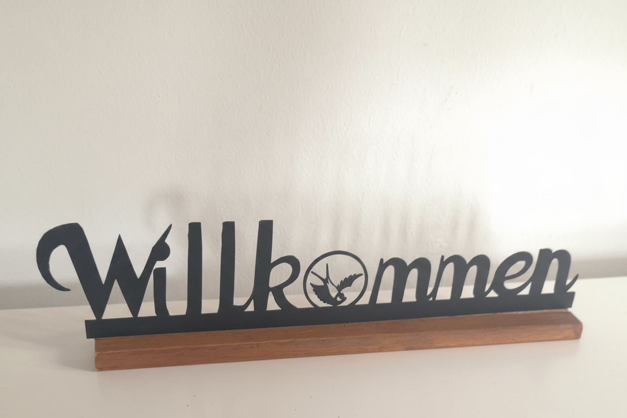 Willkommen Schwalbe Zoom